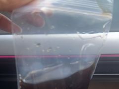 -庆丰包子铺(田村店)