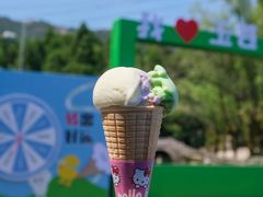 -玉苍山国家森林公园