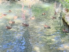 -水磨沟公园