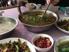 -盘龙黄鳝(盘龙居店)