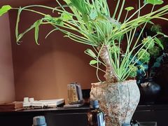 -泰·菩提树下[泰式按摩x精油SPAx肩颈头疗](新景店)