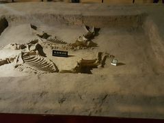 -洛阳周王城天子驾六博物馆