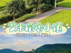 -艾米稻香小镇