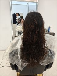 -世田造型