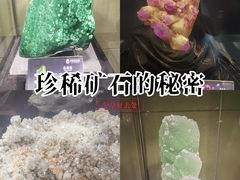 -中华赏石园
