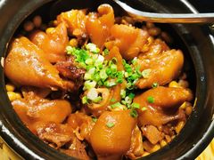 黄焖猪脚-陶德砂锅(蜀汉路店)