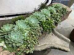 -苍山感通索道