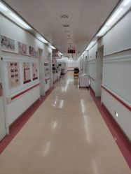 点击看大图 -复旦大学附属妇产科医院(黄浦院区)