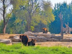 -北京野生动物园