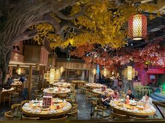 -老凯俚酸汤鱼(多彩城店)