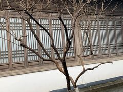 -太平天国天王府遗址