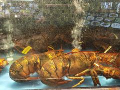 -宝燕壹号(长寿店)