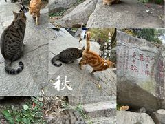 -泰山风景名胜区