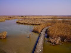 -盐城丹顶鹤湿地生态旅游区