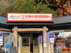 -遵化市禅林寺古银杏风景园