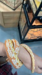 -Moni星球萌宠·小马宝莉·灵蛇·高端高阶全萌宠互动体验俱乐部(红豆国际广场店)