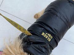 -华天延吉餐厅(西安门二店)