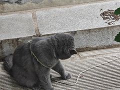 -宝通禅寺