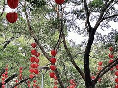 -荔湾湖公园