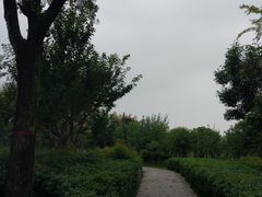 -洨河生态公园