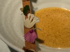 -Bleston Court Yukawatan