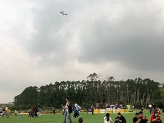 -光明小镇欢乐田园