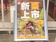 -小宝栗子(嘉华国际商业中心店)