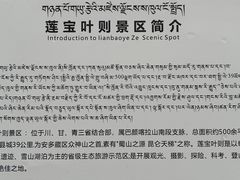 -莲宝叶则景区