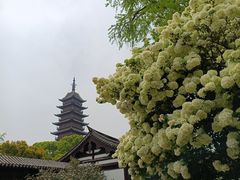 -常熟方塔园