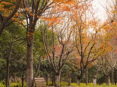 -东湖落雁景区