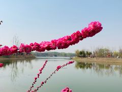 -东郊湿地公园