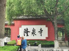 -百脉泉景区