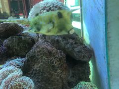 -芽庄MP泰式海鲜海景餐厅