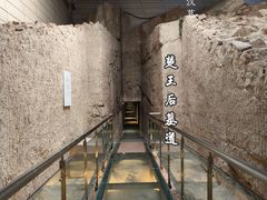 -徐州龟山景区