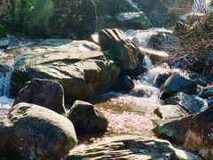 -东白山