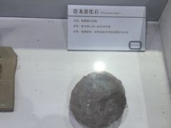 -中国第四纪冰川遗迹陈列馆