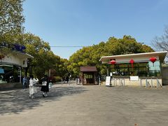 -上海滨江森林公园