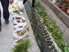 -海窝子古镇