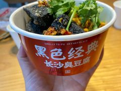 -黑色经典臭豆腐·湖南特产(坡子街店)