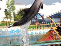 -秦皇岛乐岛海洋王国