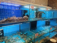 -涌觅名灶·本地海鲜宁波菜(财富广场店)