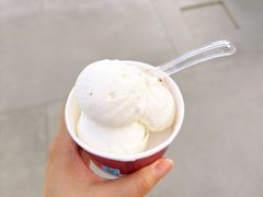 -Lolita's Gelato