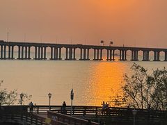 -宝安西湾红树林湿地公园