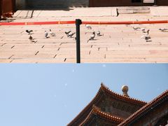 -故宫博物院(故宫)