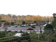 -雷泰泰台式胡椒虾(滨江金铂湾店)