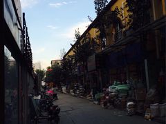 -保定市花鸟鱼虫市场