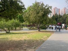 -太阳宫公园