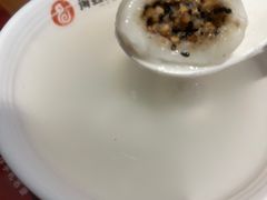 -海丝金凤(金鱼店)