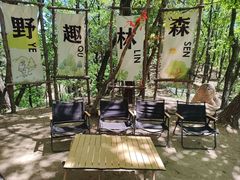 -六里坪国家森林公园