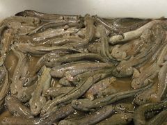 -健眺小海鲜(临海后山店)